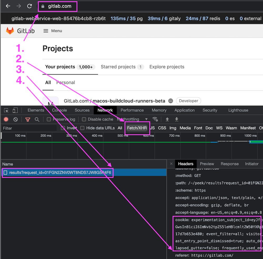 Viewing a session cookie in the Developer Tools panel of a browser