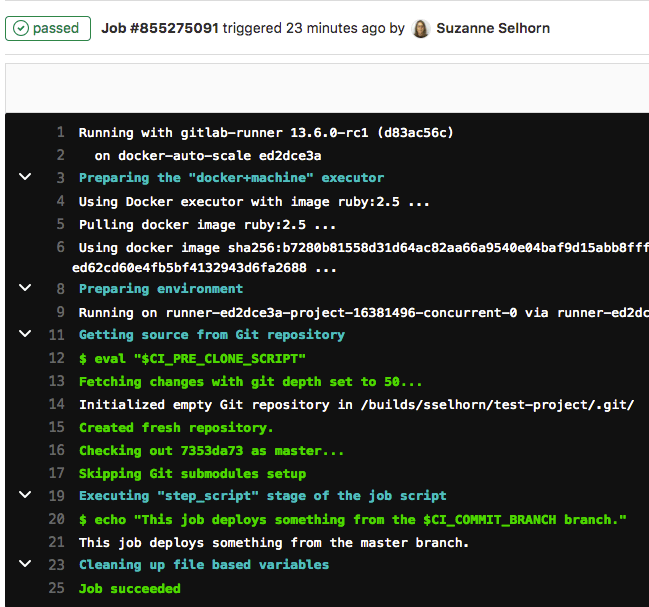 The job details page shows the current status, timing information, and the output of logs.